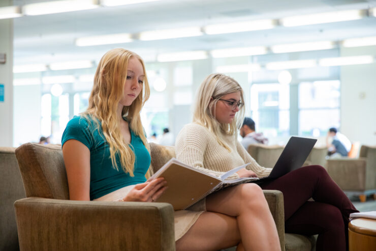 Students studying in the library