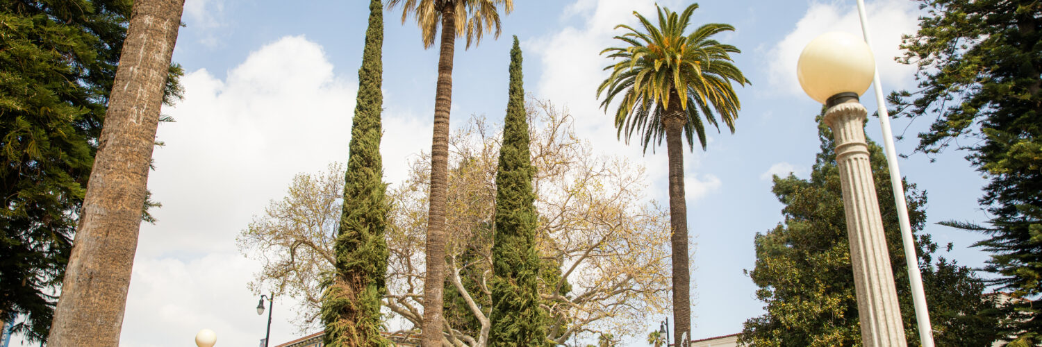 Town square scene featuring tall palm trees and other greenery surrounding a circular fountain in the middle, with people sitting on benches, historic low-rise buildings with blue awnings in the background, and an American flag on a high pole against a partly cloudy sky.