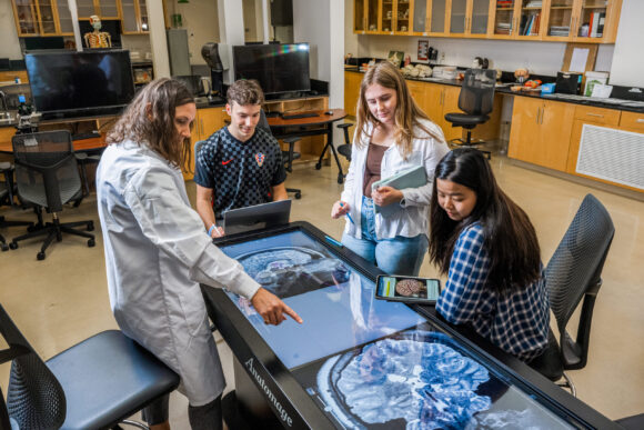 Students examine a brain scan in a class, providing insights into how people think, feel, and behave.