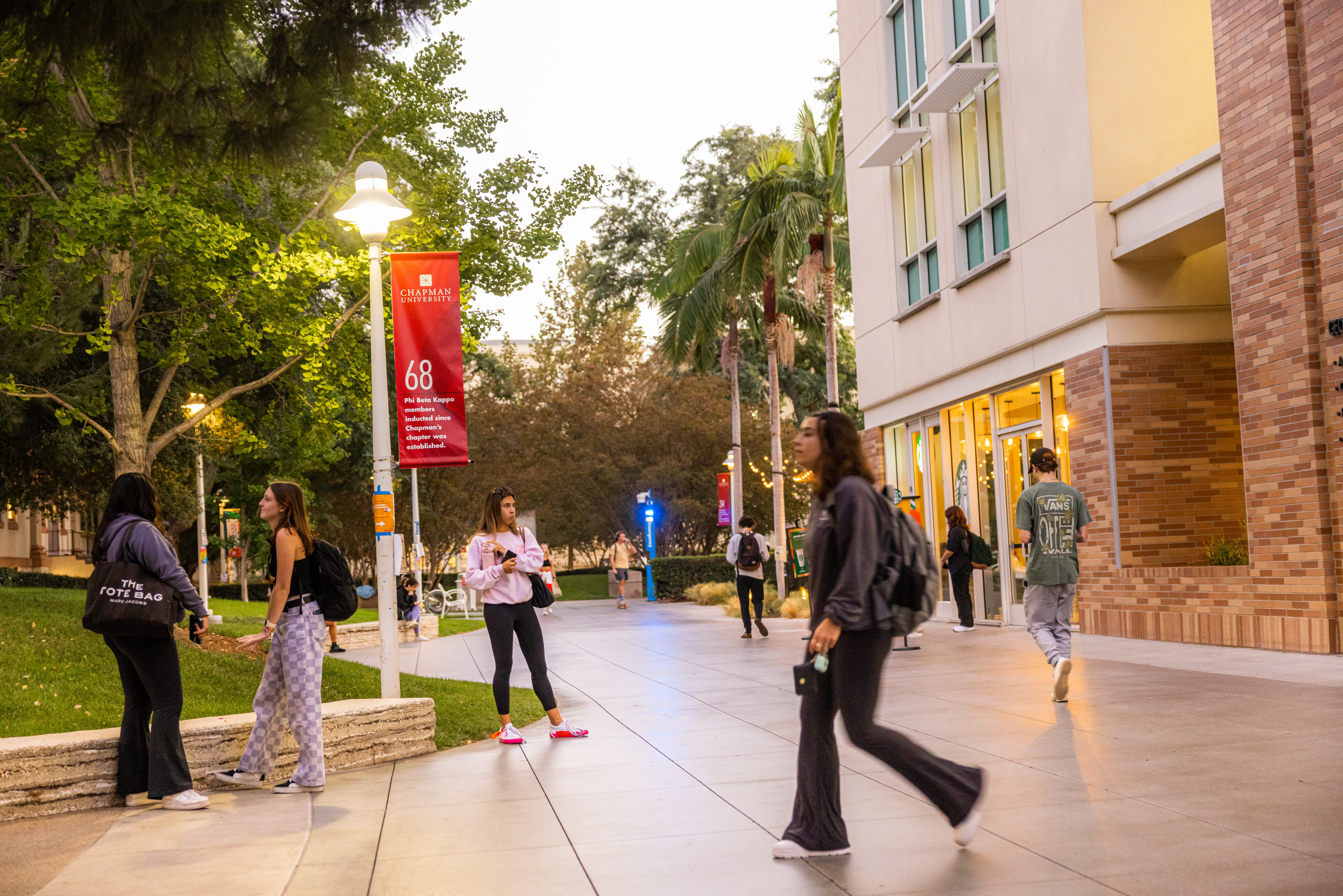 How to apply to college: Campus in the evening