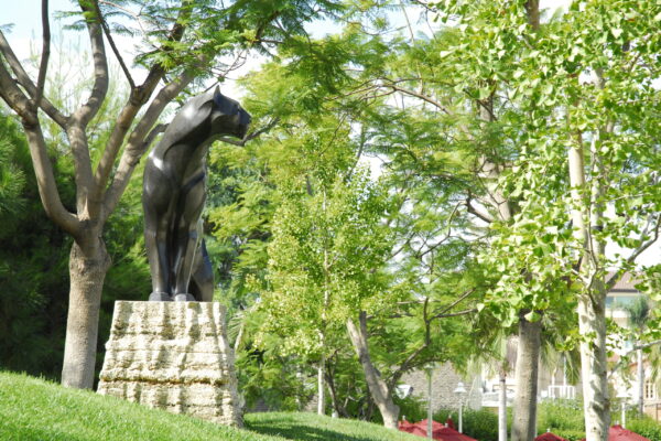 Early Action vs. Regular Decision: Black panther statue surrounded by trees on Chapman University’s campus.