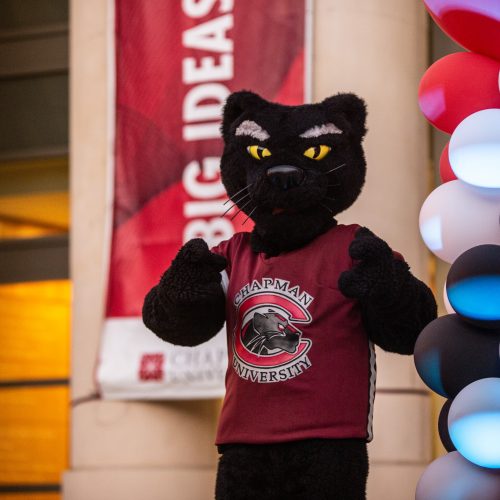 pete the panther mascot in front of leatherby libraries
